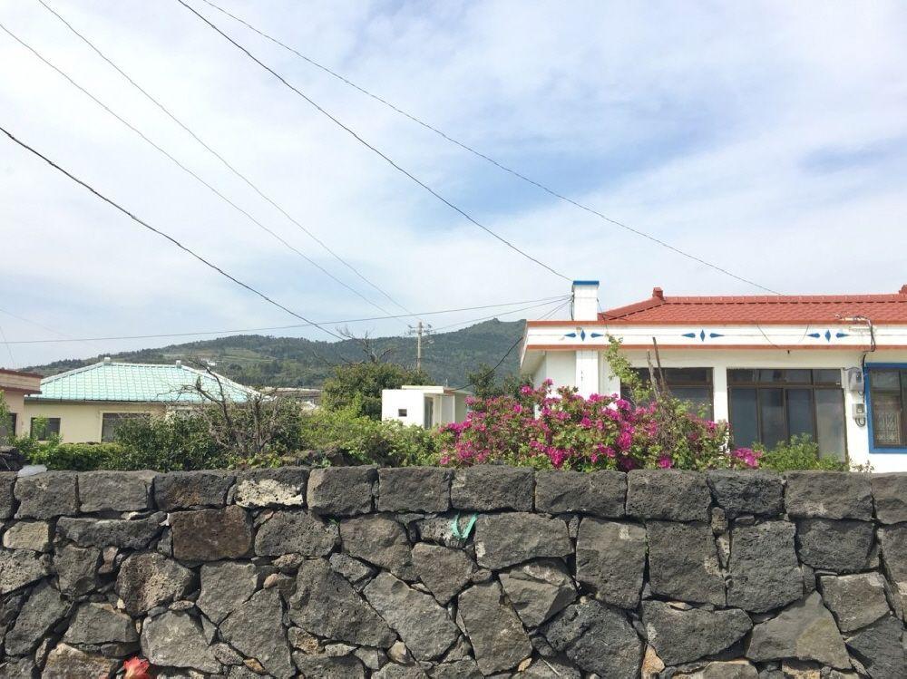 淺灘上的玄武岩與遠處的綠色草地，濟州島大坪裡是個自然與寧靜結合的理想度假地